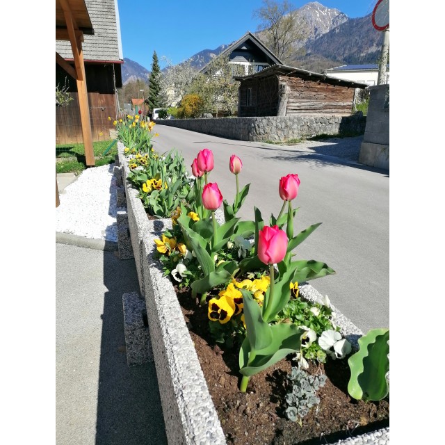 Korito Urbano Linia 100x40x40