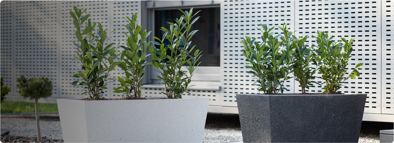 Zasebna rezidenca Azalea